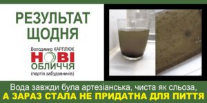 Результат роботи партії «Нові Обличчя»